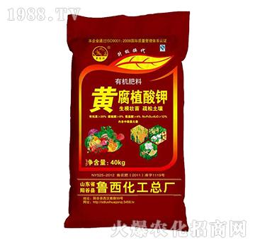 �S��ֲ����ЙC����-��������