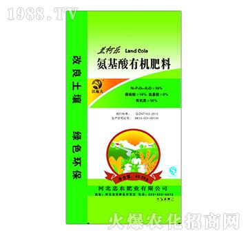 �������ЙC(j��)����-�m��(l��)-���r(n��ng)�ʘI(y��)