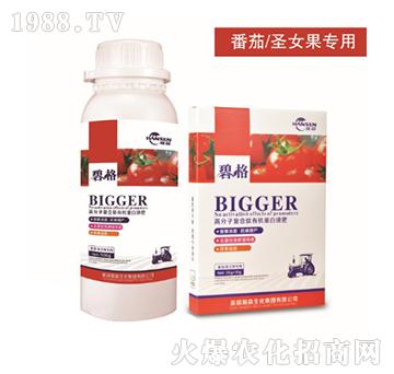 ����ʥŮ�����ø߷��ӏͺ����ЙC����Һ��-�̸�-�ɭ�r�I(y��)