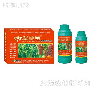 ���������ӌ��àI�B(y��ng)���a(ch��n)�{(di��o)�턩-�Ƶ�