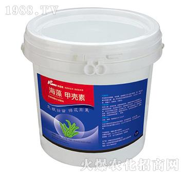 ����ך���-���~�r(n��ng)