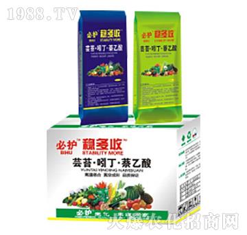 �|̦���Ŷ���������-��(w��n)����-�滯���h