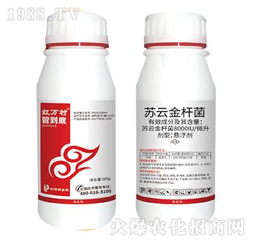 �K�ƽ�U��-�ܵ���-���˹����r��