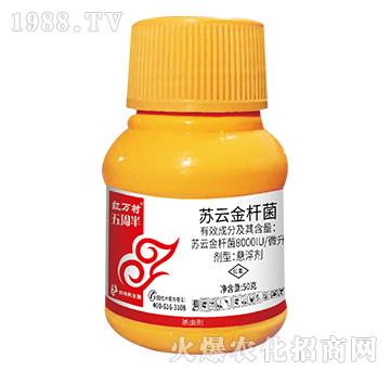 �K�ƽ�U��-���ܰ�-���˹����r��