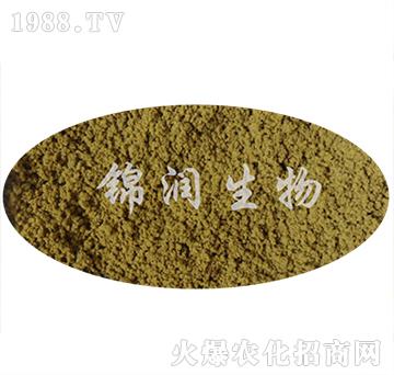 ����ù�P����-�\������