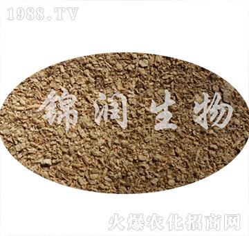 ����ù����-�\������