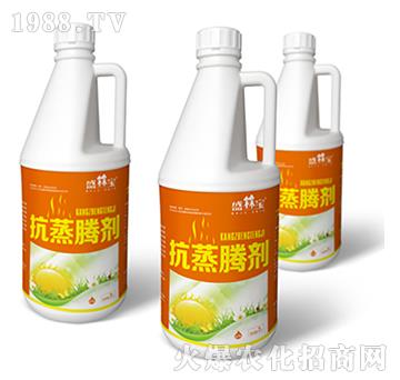 �����v��-�r(n��ng)��������