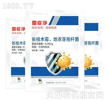 �L֦ľù������ѿ�ߗU��-˪�߃�-����ֲ��