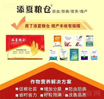 ����I�B(y��ng)��Q����-���ļZ�}-�S�՘�