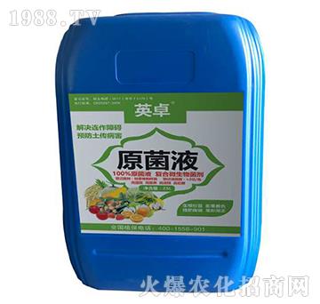 ԭ��Һ-Ӣ׿-������