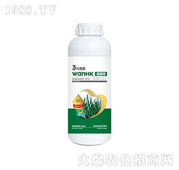 �����\-�f�ݿ�