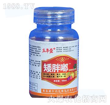 ֲ���{(di��o)��(ji��)�����K���o���ã�-�����-�����_(d��)