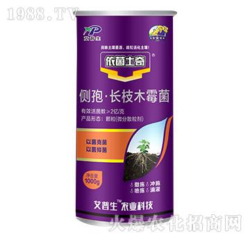 ��(c��)�ߡ��L֦ľù��-��������-������