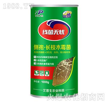 ��(c��)�ߡ��L֦ľù��-�����o�n-������