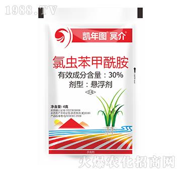 30%���x(ch��ng)��������-ڤ��-�P��D