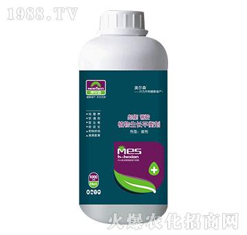 1000mlֲ�����L(zh��ng)ƽ�℩-���ܹܿ�-����ɭ