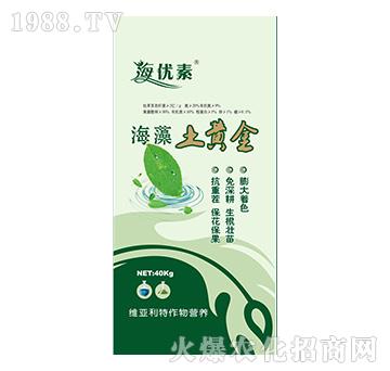 �������S��-�S������