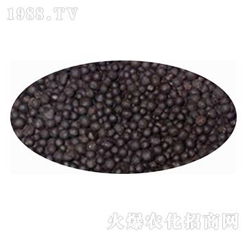 �ЙC�o�C��(f��)����w��-����ʘI(y��)