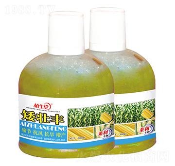 �����S ֲ���� �R������