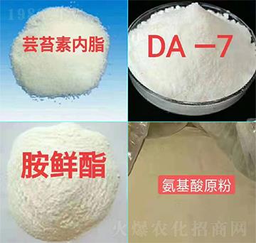 ֲ���{(di��o)��(ji��)���ײ�-��ɽ����