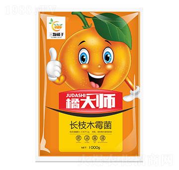 �L֦ľù��-�ٴ�-���w����