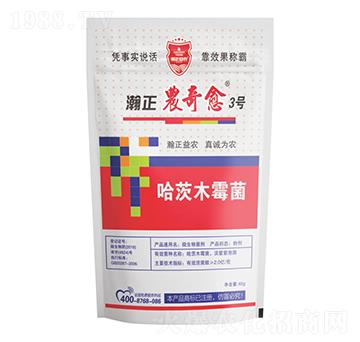 ����ľù��-����r(n��ng)����3̖-������r(n��ng)