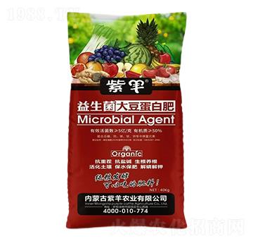 �������󶹵��׷�-���r