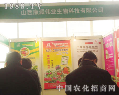 ɽ�����ɂ��I(y��)-2011ʯ���fֲ��������չλ