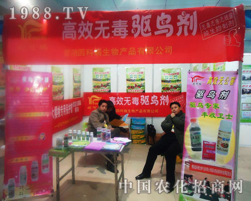 ��Ч�(q��)�B�� �������Ƅ�