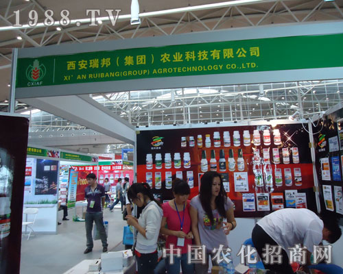 ��������r(n��ng)�I(y��)�ڵ�ʮһ���½��r(n��ng)����(hu��)��������