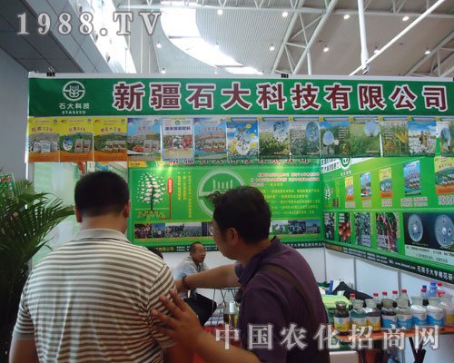 ʯ��Ƽ��ڵ�ʮһ���½��r������������