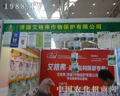 ���񸥡������N�����݌��ң�