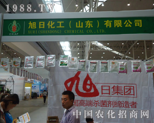 ����ˎ��������!