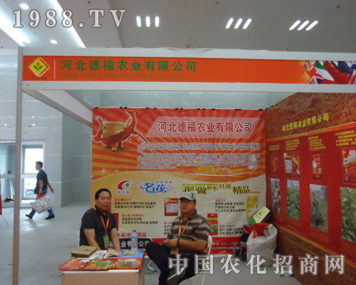 �ӱ��¸��r�I(y��)��չ�½��r�Y�� ���Vʢ���S�՘���