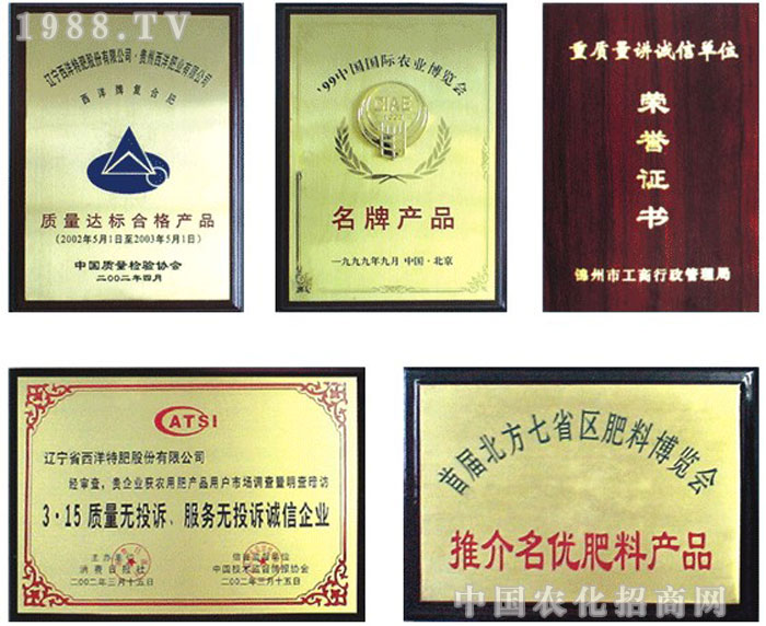 �|�������ط�����؟�ι�˾