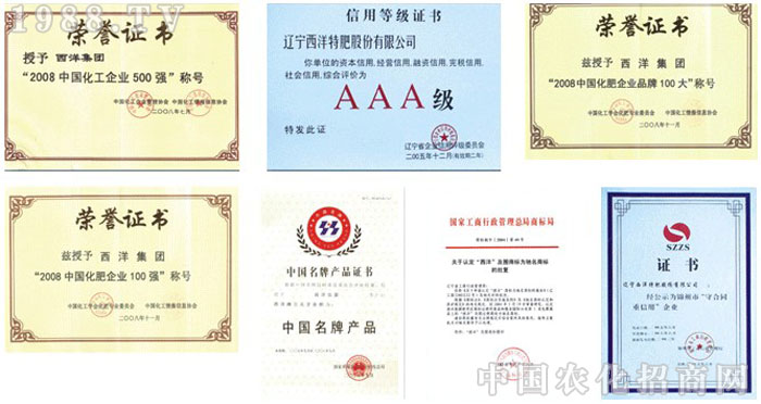 �|�������ط�����؟�ι�˾