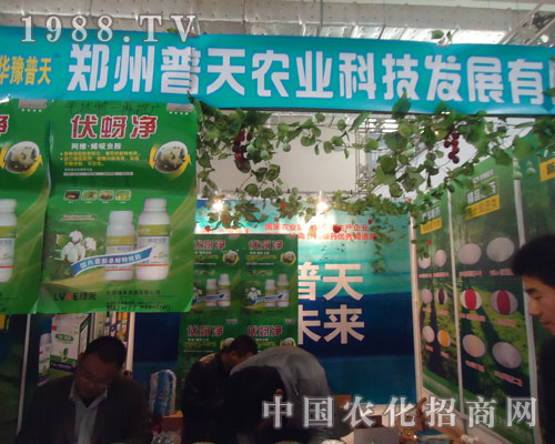 ���������r(n��ng)�I(y��)�\��ȫ������(j��)����