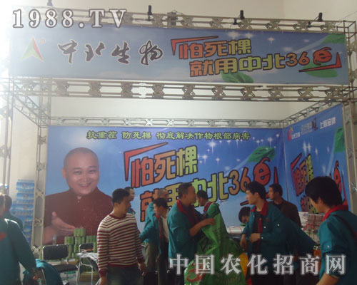 �����ã������б�36E