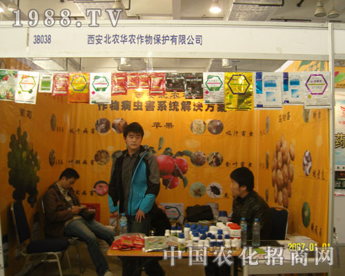 �P(gu��n)עɽ�|���ϕ�(hu��) �P(gu��n)ע�������r(n��ng)�A�r(n��ng)