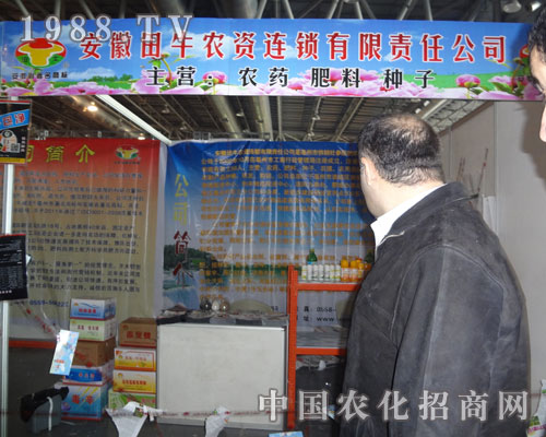 ��ţ�r(n��ng)�Y�B�i���I(y��ng)���r(n��ng)ˎ������