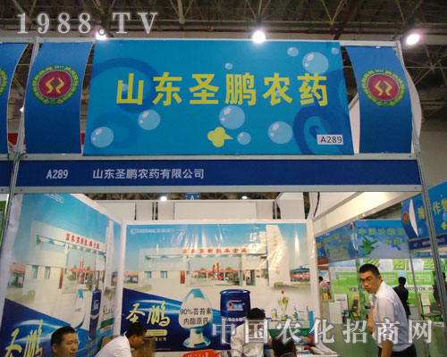 2011��B�Tֲ����(hu��)��ʥ�i�r(n��ng)ˎ�A���ǈ�(ch��ng)