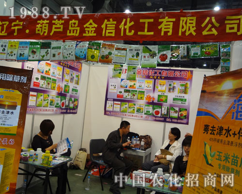 ���|�����J�u���Ż������Ї�(gu��)ֲ���p����(hu��)չ�L(f��ng)��