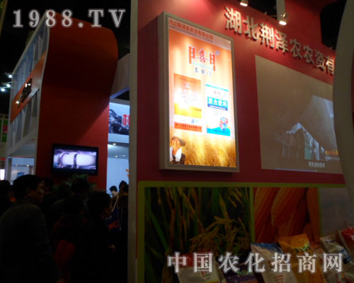 �����G���r�F�����ݷ��ϕ�