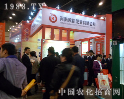 �W�P�ʘI(y��)�ذ��������ݷ��Ͻ��ו�