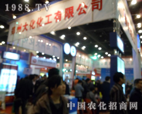 �󻯻����������ݷ����p����