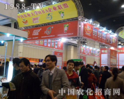 MBA��I(y��)(li��n)��ʢ�b��ϯ���ݷ���չ