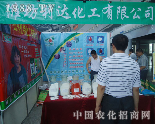 ���_����¡������ھŌ����ݷ��ϕ�