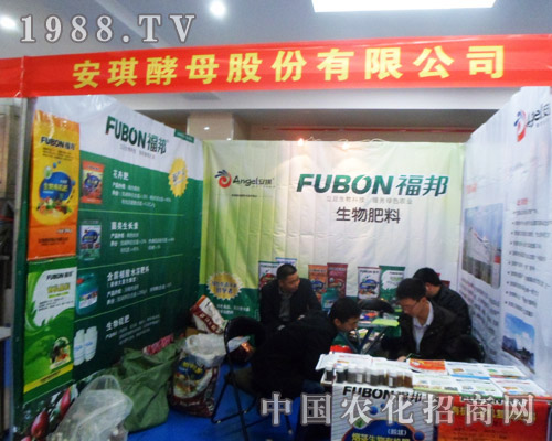 ��ĸ����2013�Ϸʷ��Ͻ��ו�