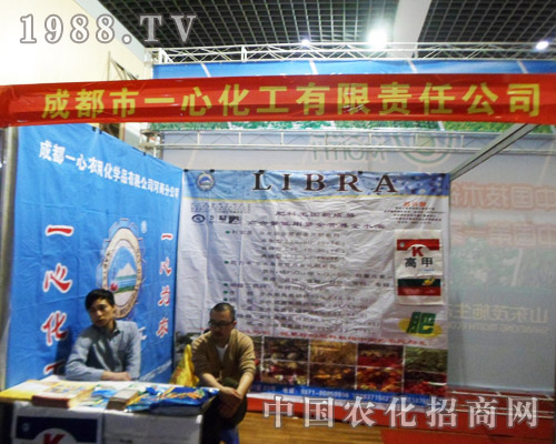 һ�Ļ�������2013���շ��Ͻ��ו�