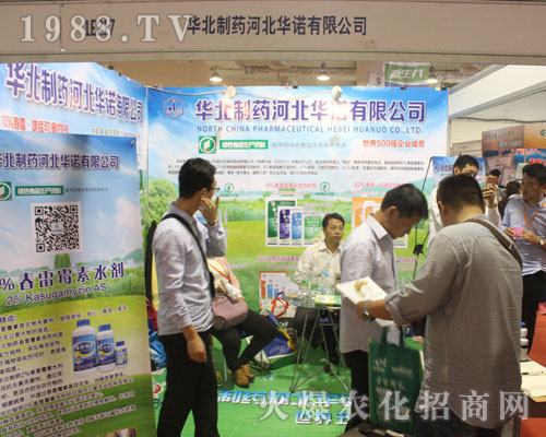 �ӱ��A�Z�ڵ�2016ɽ�|ֲ����������